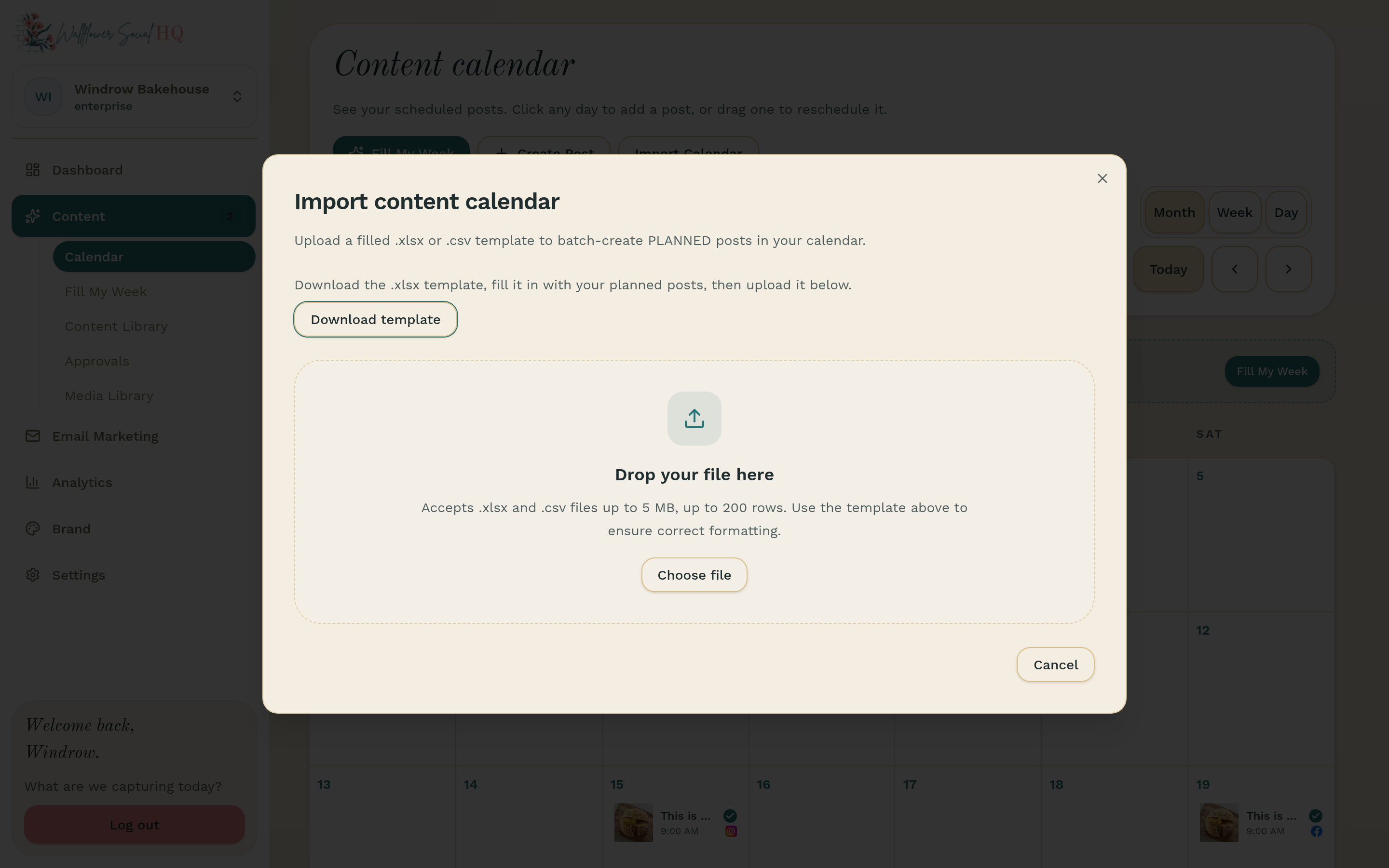 Import content calendar dialog with the template download link in view