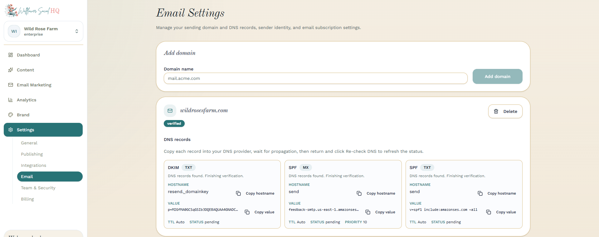 DNS records table with the Copy hostname and Copy value buttons